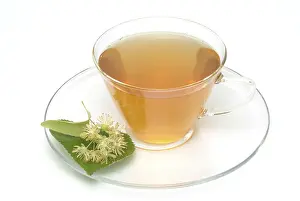 Herbal Tea Benefits Prints: Lime blossom tea