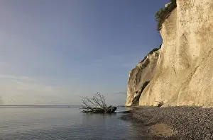 Steep Cliff Photography Prints: Limestone cliff in Denmark