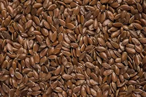 Deserted Food Still Life Prints: Linseed kernels