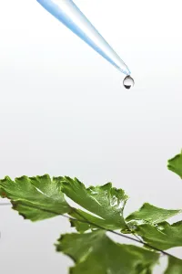 Genetic Information Analysis Prints: Liquid drop on green leaf