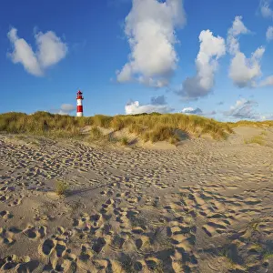 Lister Lighthouse Prints: The Lister lighthouse at Ellenbogen