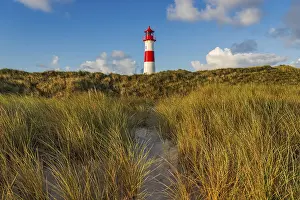 European Morning Atmosphere Prints: The Lister lighthouse at Ellenbogen