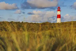 Schleswig Holstein Landscapes Prints: The Lister lighthouse at Ellenbogen
