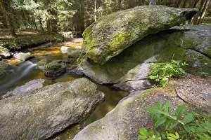 Wild River Prints: Little stream