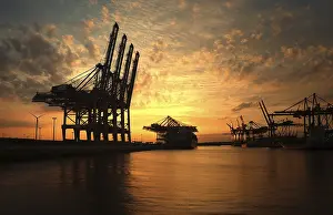 Freight Transport Germany Prints: Loading cranes at sunset in the Waltershofer Harbor