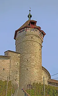 European Fortification Structure Prints: Whether local or foreign