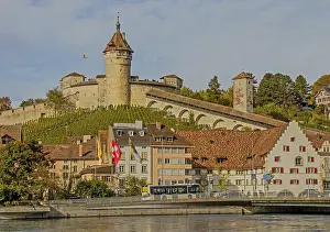 European Fortification Defence Work Prints: Whether local or foreign