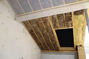 Residential Building Renovation Prints: Loft insulation