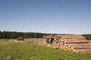 Wind Turbine Bavaria Prints: Logging, cut tree trunks, wind turbine at the back
