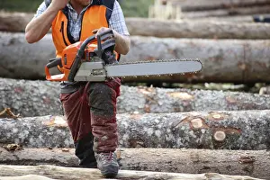 Timber Industry Europe Prints: Logging work in the local forest