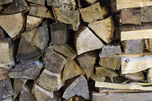 Woodpile Detail Prints: Logs, stacked up