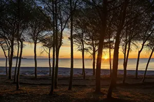 Prints of Lonely sandy beach and pine forest, Spiaggia di Isula Manna, sunrise, Santa Maria Navarrese, Gulf of Orosei National Park, Baunei, Nuoro, Sardinia, Italy Nuoro Prints: Lonely Sandy Beach and Pine Forest Print, Sardinia, Italy