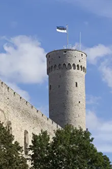 Prints of Long Hermann with Estonian national flag, fortified defence tower on the Castrum Danorum castle complex, Tallinn, Estonia Estonia Prints: Long Hermann Print with Estonian Flag, Tallinn, Estonia