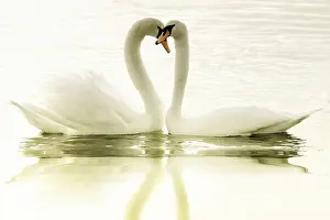 Artificial Lake Scenery Prints: Lovers
