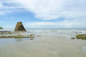 Rocky Coastline Scenery Prints: Low tide coastal view with a sea stack