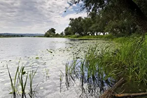 European National Parks Prints: Lower Oder Valley National Park