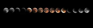 Full Moon Night Shot Prints: Lunar Eclipse Phases, Blood moon