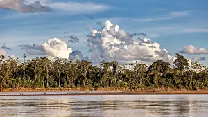 Bolivia Landscape Photography Prints: Lush forest with river in the foreground and dramatic sky