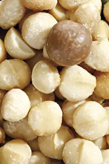 Full Format Image Prints: Macadamia nuts, full format