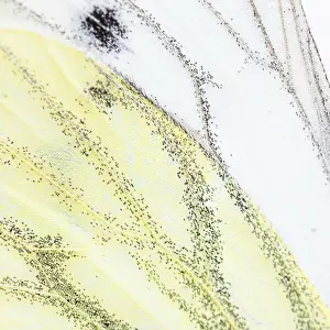 Studio Shot Of A Butterfly Prints: Macro on a Cabbage butterfly wing