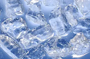 Deserted Ice Cube Scene Prints: Macro of ice cubes in a blue bin