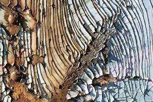 Close Up Metal Prints: Macro, surface structure, colour, rust