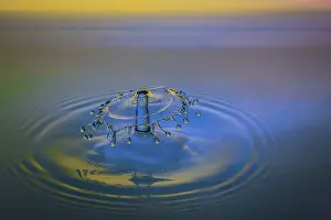 Macro Water Drop Prints: Macro Water Drop