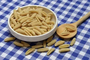 Sardinian Gnocchetti Prints: Malloreddus, Sardinian gnocchetti in shell