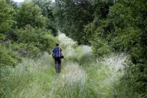 Inner German Border Prints: Man with backpack, hiker in the border triangle