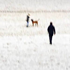 Long Exposure Coastal Photo Prints: Man with child and dog on the beach