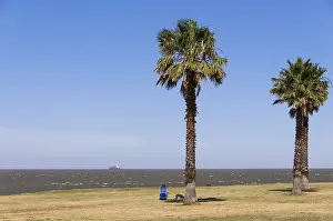 South America Coast Prints: Man alone with deckchair at the Rambla