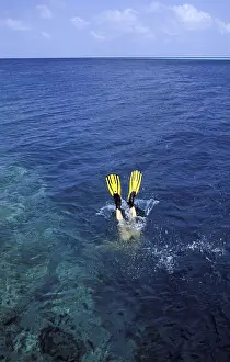 Blue Water Sports Prints: Man diving in the sea