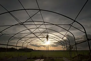 Northern Germany Countryside Scene Prints: Man on a ladder constructing a barn at dusk in backlight