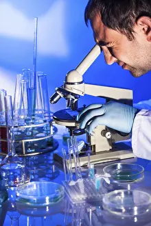 Scientist In Laboratory Prints: Man is looking into the ocular of microscope