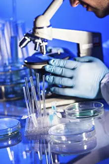 Scientist In Lab Prints: Man is looking into the ocular of microscope
