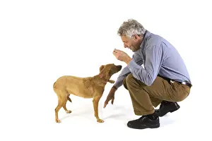 Studio Pet Photography Prints: Man is training his dog obedience
