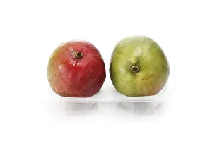 Fruity Food Photography Prints: Two mangos in a plastic package