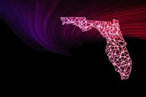 Polygonal Mesh Line Map Prints: Map of Florida, Polygonal mesh line map