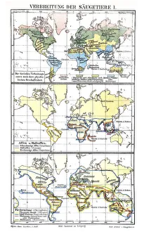 Historic Map Print of Mammal Occurrences, 1897