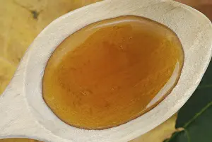 Wholefood Nutrition Prints: Maple syrup