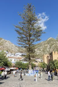 Chefchaouen Morocco Prints: MAR, Chefchaouen