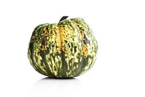 Vitamin Rich Vegetables Prints: Marrow
