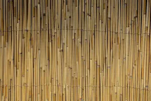 Abstract Straw Texture Prints: Mat as straw as abstract texture pattern