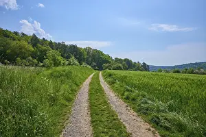 Franconia Nature Photography Prints: Meadow path, forest, spring, Elsenfeld