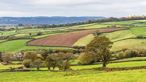 English Countryside Prints: Meadows and Fields over Devon in the colors of fall