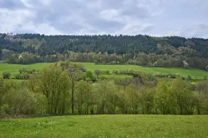 Bavaria Forest Landscape Prints: Meadows, forest landscape, clouds