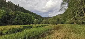 Thuringian Forest Prints: Meadows and forests stretch under a sky full of clouds