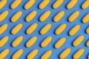 Environmental Awareness Image Prints: A pattern showcasing plastic corn against a blue background