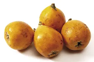 Balanced Diet Grocery List Prints: Medlars (Mespilus)