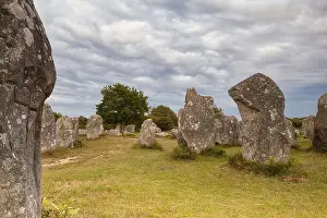Brittany Megalith Culture Prints: Megalithic stone rows from Kerzerho